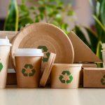 Sustainable Packaging Options for Eco-conscious Brands